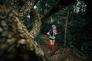 BIB: 
                            <button type="button" onclick="openModal(25704237)" class="btn btn-primary btn-sm float-right btn-popup" data-toggle="modal" data-target=".modal-high-quality">
                        <i class="fas fa-shopping-cart"></i> Add to Cart
                    </button>
                                            <button type="button" onclick="isThisMe(25704237, true)" class="btn btn-success btn-sm float-right btn-popup btn-isme hidden" data-toggle="tooltip" data-placement="bottom" title="นี่คือรูปของคุณใช่ไหม คลิกที่นี่เพื่อเอาเข้าอัลบั้ม">
                        <i class="fas fa-plus"></i> Add to album
                    </button>
                    <button type="button" onclick="isThisMe(25704237, false)" class="btn btn-warning btn-sm float-right btn-popup btn-isnotme hidden">
                        <i class="fas fa-ban"></i> Remove from album
                    </button>